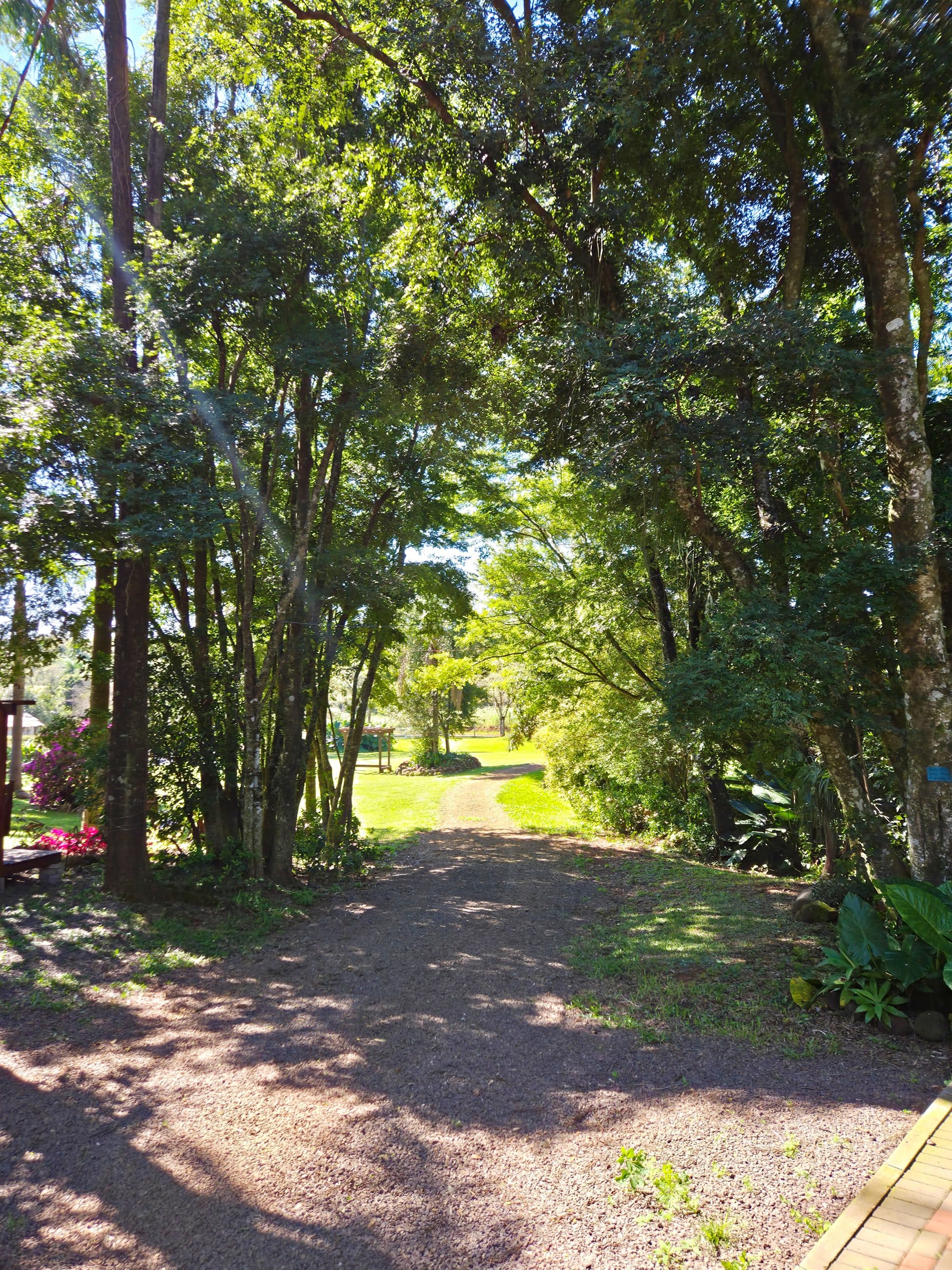 Caminho sob copas de árvores em direção ao gramado iluminado