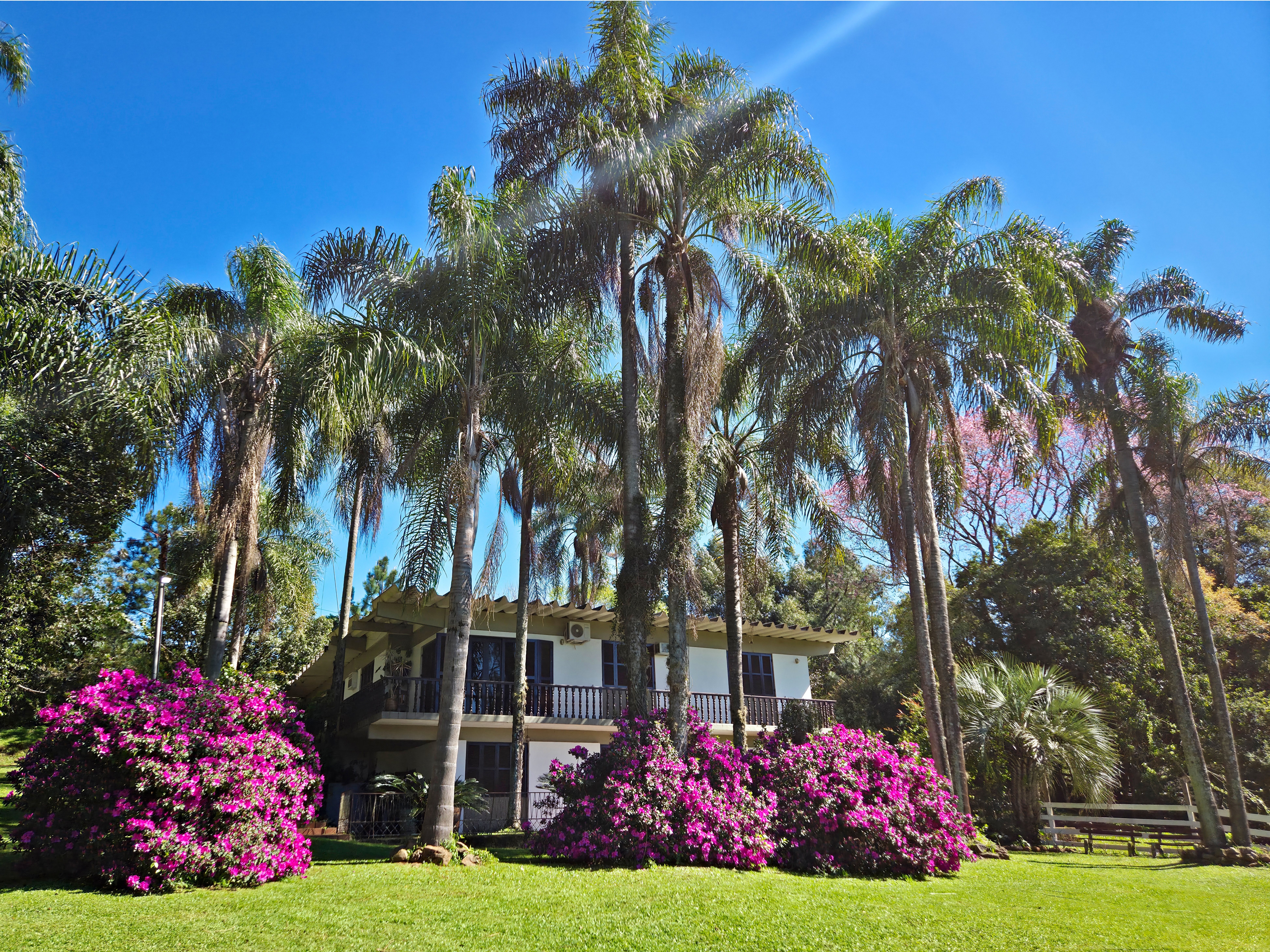 Casa do Recanto entre coqueiros altos, azaleias cor-de-rosa e gramado, sob o céu azul.