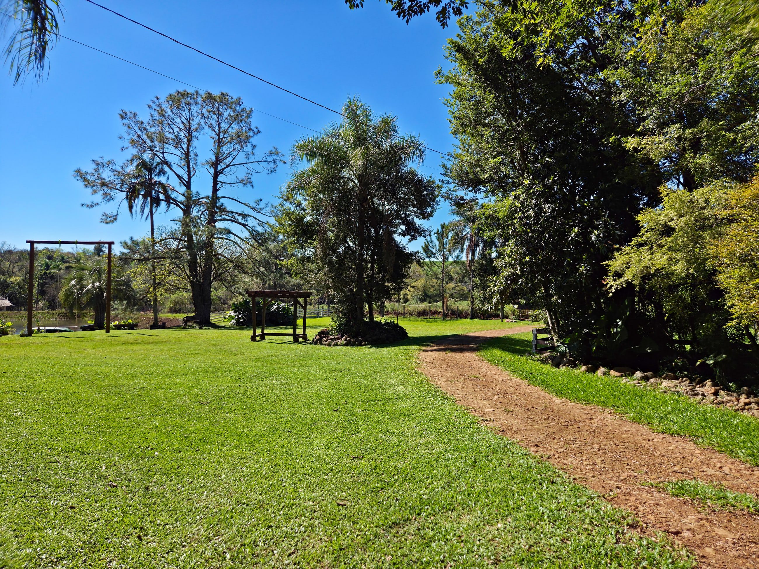 Gramado aberto com caminho de terra entre palmeiras e árvores