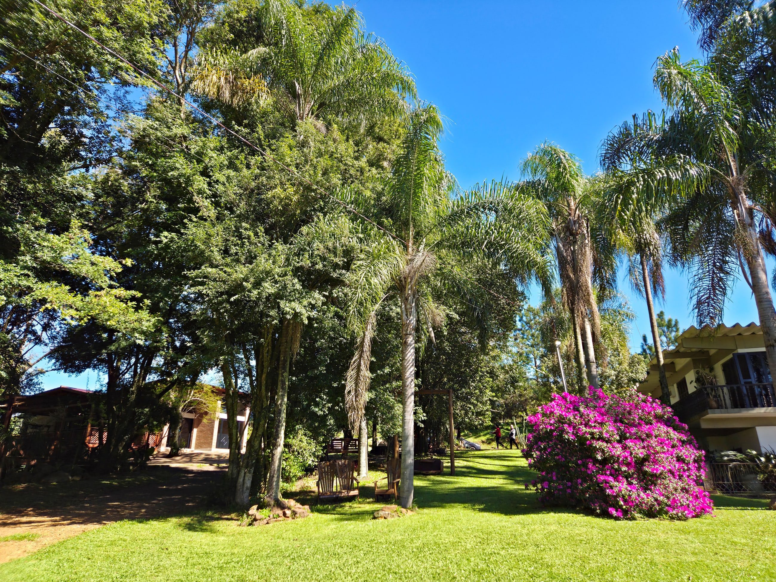 Jardim com palmeiras e flores entre a casa principal e o salão